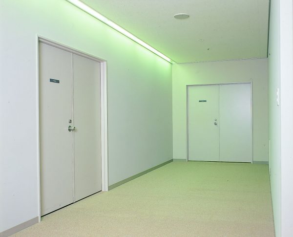 CỬA CHỐNG CHÁY CHUNG CƯ WA3C-CC-03